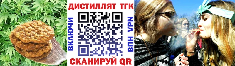 МЕГА ТОР  как найти наркотики  Североморск  Печенье с ТГК конопля 