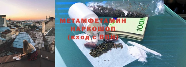 крисы Новозыбков
