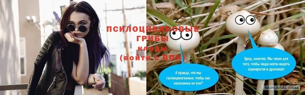 спайс Новодвинск