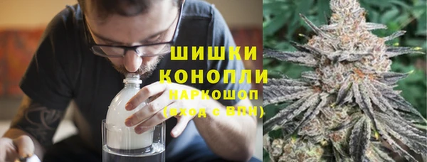 крисы Новозыбков