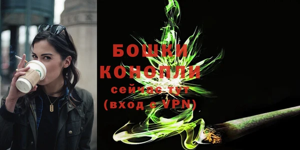 молекула духа Вуктыл