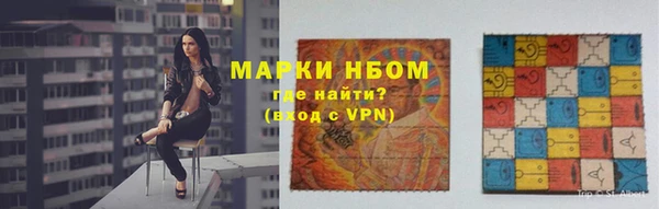 крисы Новозыбков