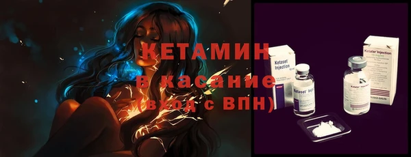крисы Новозыбков