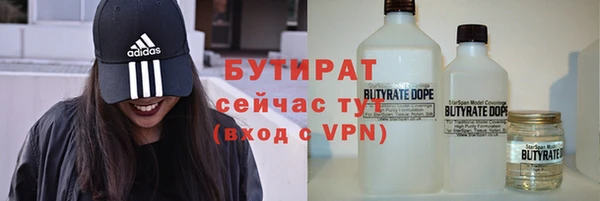 крисы Новозыбков