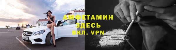 крисы Новозыбков