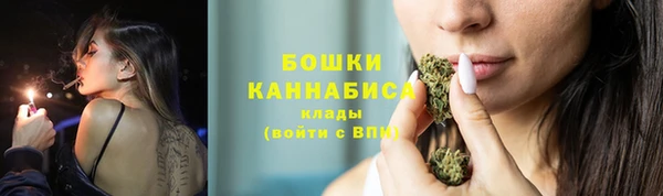крисы Новозыбков