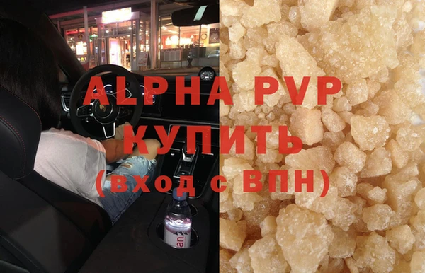 крисы Новозыбков