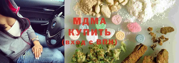 крисы Новозыбков