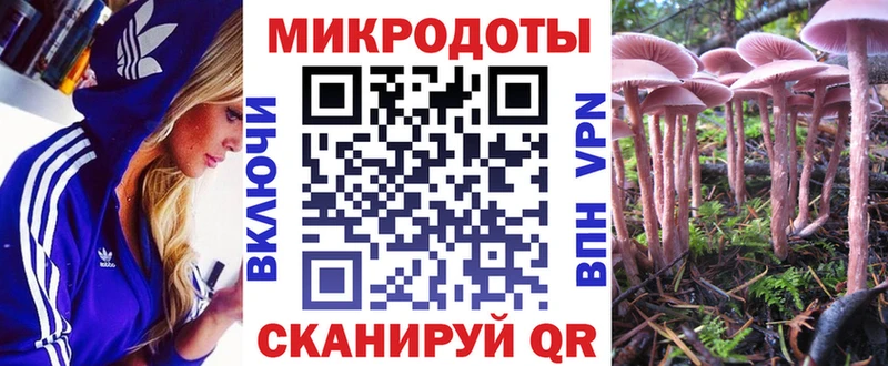 Псилоцибиновые грибы Psilocybe  mega зеркало  Североморск 
