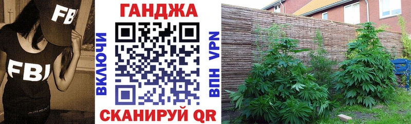 Шишки марихуана планчик Североморск